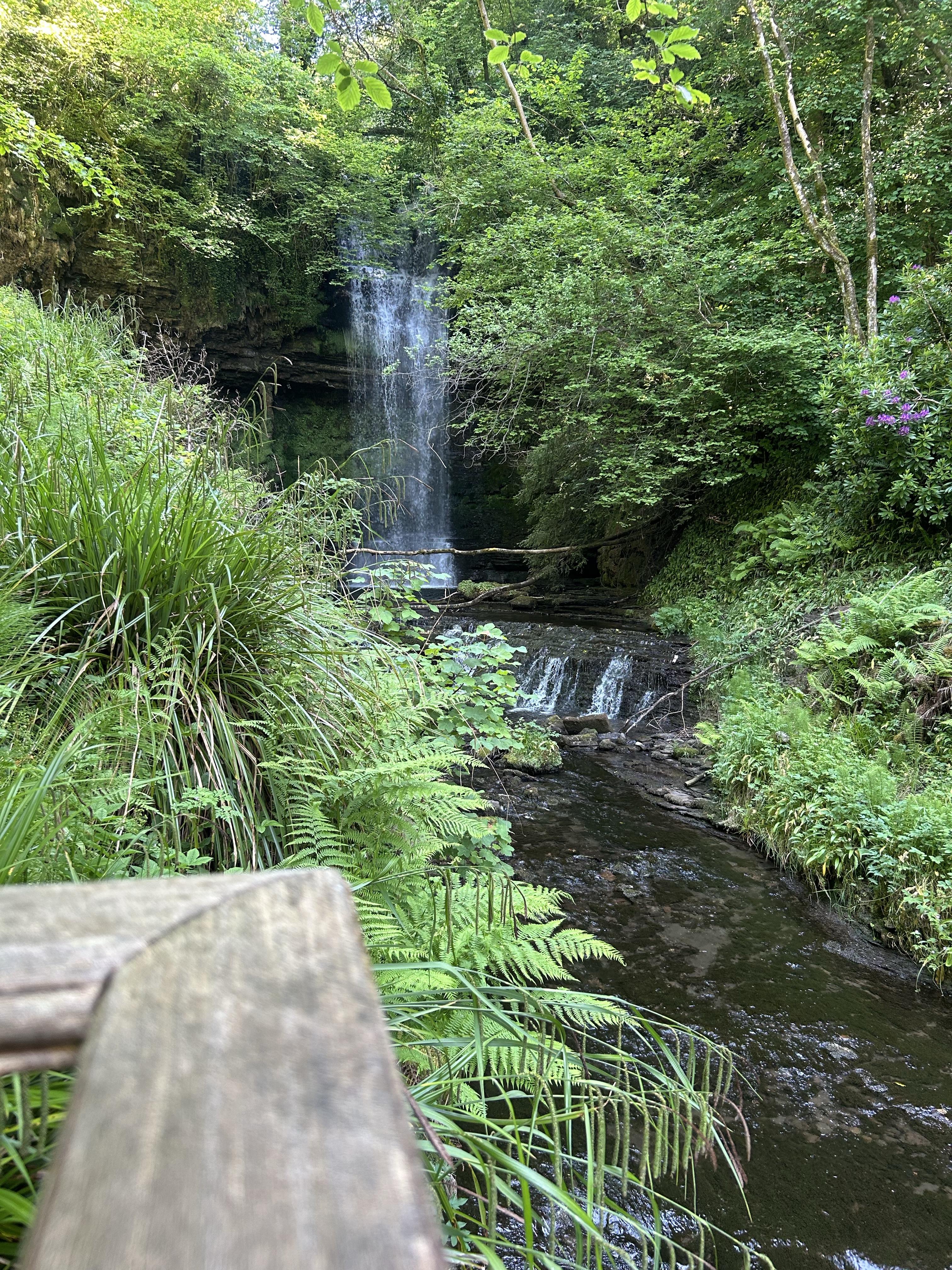 A photo taken at teaSHED